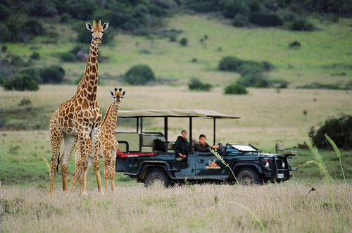 Amakhala Safari Lodge 帕特森 外观 照片