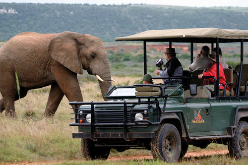 Amakhala Safari Lodge 帕特森 外观 照片