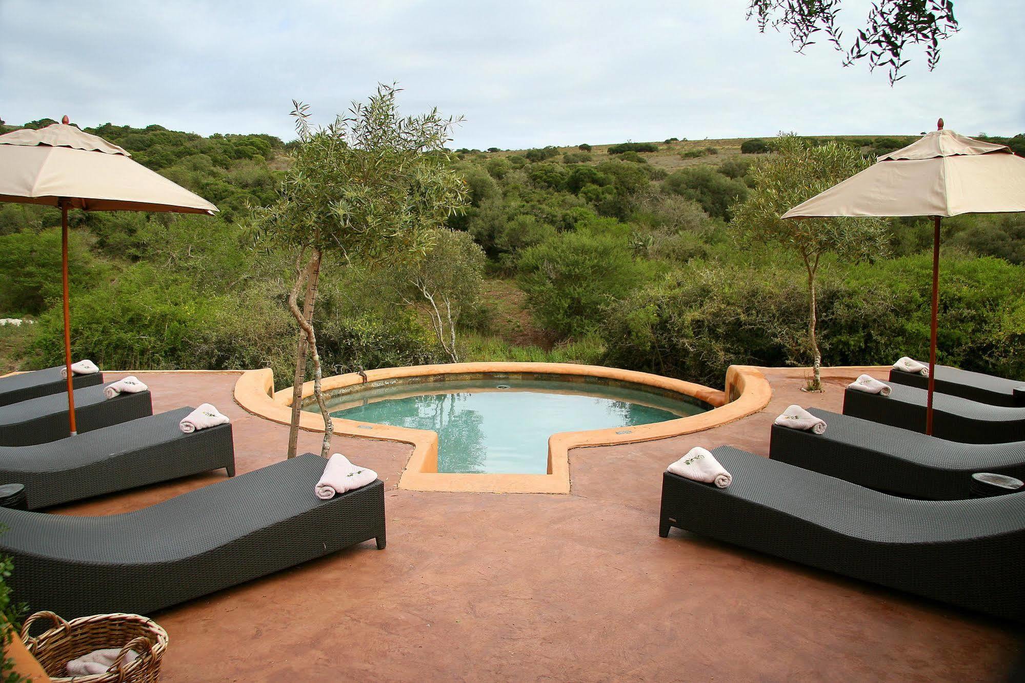 Amakhala Safari Lodge 帕特森 外观 照片